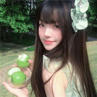 柏格曼岛